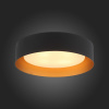 Накладной светильник ST-Luce Chio SL392.422.04