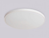 Накладной светильник Ambrella Light FZ FZ1202
