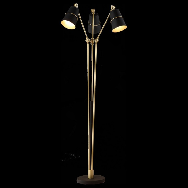 Торшер ST-Luce Sorspreso SL458.425.03