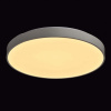 Накладной светильник MW-Light Ривз 674013101