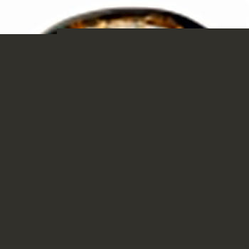 Встраиваемый светильник Feron Saffit  18956