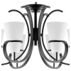 Подвесная люстра Lightstar Fiacolla 733067