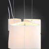 Подвесная люстра ST-Luce Ambrela SL1110.503.06