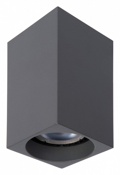 Накладной светильник Lucide Delto 09916/06/36