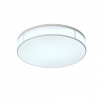 Накладной светильник ST-Luce Fella SL417.502.01