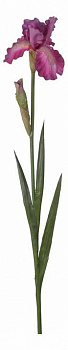 Цветок (80 см) Ирис 58016700