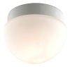 Накладной светильник Odeon Light Minkar 2443/1B