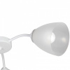Потолочная люстра Vitaluce V3750 V3750/3PL