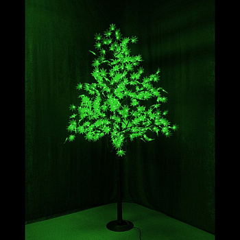 Клен световой (2.1 м) IMT-001 531-514