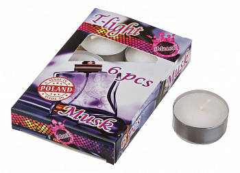 Набор из 6 свечей ароматических (4x2 см) Мускус 348-479