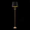 Торшер ST-Luce Velossa SL1123.205.01