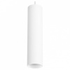 Подвесной светильник Lightstar Rullo RP496