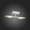 Светильник на штанге ST-Luce Farfalla SL824.501.02