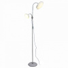 Торшер с подсветкой ST-Luce Pratico SLE120.505.02