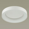 Накладной светильник Odeon Light Sole 4062/50CL