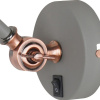 Бра Arte Lamp Braccio A2054AP-1GY