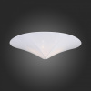Накладной светильник ST-Luce Tonico SL360.552.02