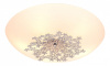 Накладной светильник SilverLight Verbena 836.50.5