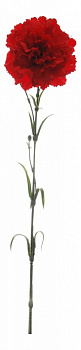 Цветок (59 см) Гвоздика 58004100