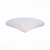 Накладной светильник ST-Luce Tonico SL360.552.02