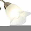 Потолочная люстра Rivoli Giardino S5 AB Б0038452