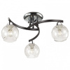 Потолочная люстра Odeon Light Vanes 2943/3C