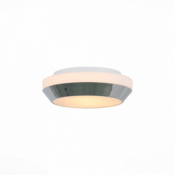 Накладной светильник ST-Luce Bagno SL469.502.02