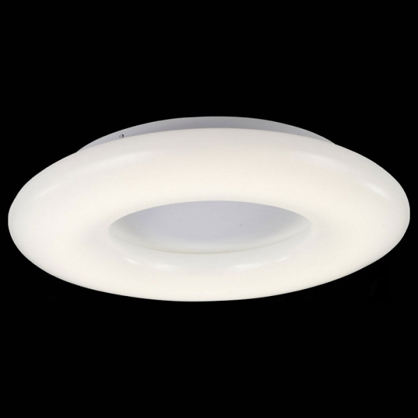 Накладной светильник ST-Luce Albo SL902.572.01D