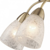 Люстра на штанге Odeon Light Mariot 2541/5С