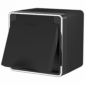 Розетка влагозащищенная с заземлением и шторками, без рамки Werkel  WL15-02-04 (черный)