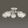 Люстра на штанге Lumion Clodina 3116/5C