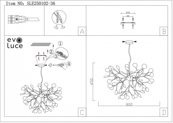 Потолочная люстра EVOLUCE Avola SLE250102-36