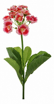 Цветок (40 см) Примула 58018400