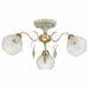 Потолочная люстра Lumion Bellaromana 3506/3C