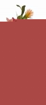 Букет (50 см) 287-105