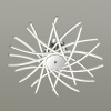 Накладной светильник Odeon Light Brollo 4026/99CL