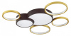 Потолочная люстра Lumion Norbert 5255/99CL