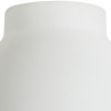 Плафон стеклянный Paulmann Wolbi 60056