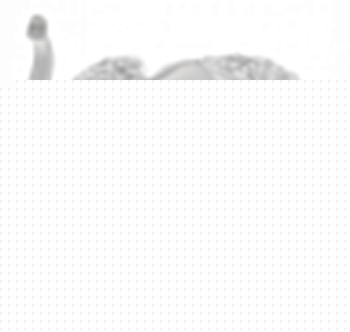 Статуэтка (16х6х12.5 см) Слон 162-635