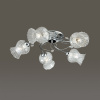 Потолочная люстра Lumion Frizza 3073/5C