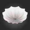 Накладной светильник ST-Luce Fiore SL358.502.05
