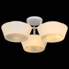 Потолочная люстра ST-Luce Adatto SL296.502.03
