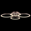 Потолочная люстра ST-Luce Twiddle SL867.702.04