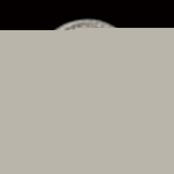 Накладной светильник Sonex Brisa 2036/FL