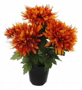 Растение в горшке (32 см) 58005700