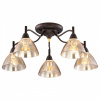 Потолочная люстра Odeon Light Treves 2625/5C
