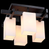 Потолочная люстра ST-Luce Caset SL541.402.04