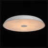 Накладной светильник MW-Light Канапе 708010409