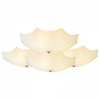 Потолочная люстра ST-Luce Ombrelloni SL524.502.09