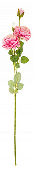 Цветок (63 см) Пионовидная роза 21-2023